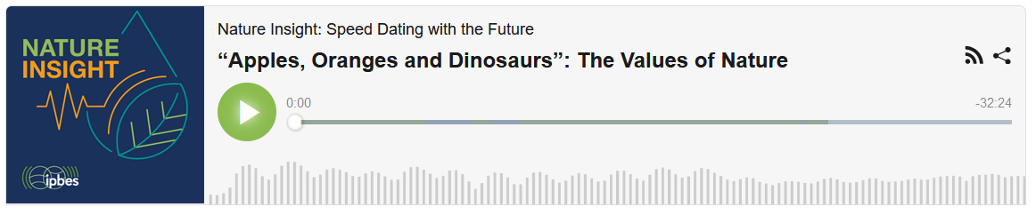 Logo and title of theNature Insight IPBED Podcast episode of 9 march 2022 with guest David Cooper