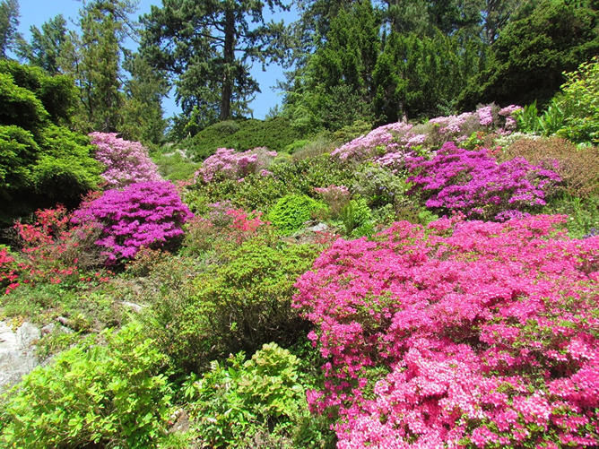 photo pruhonice park and gardens