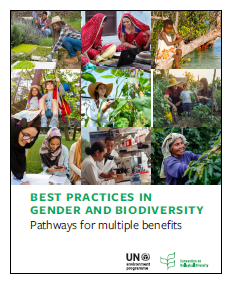 Thumnail cover of the Best practices in gender and biodiversity CBD publication
