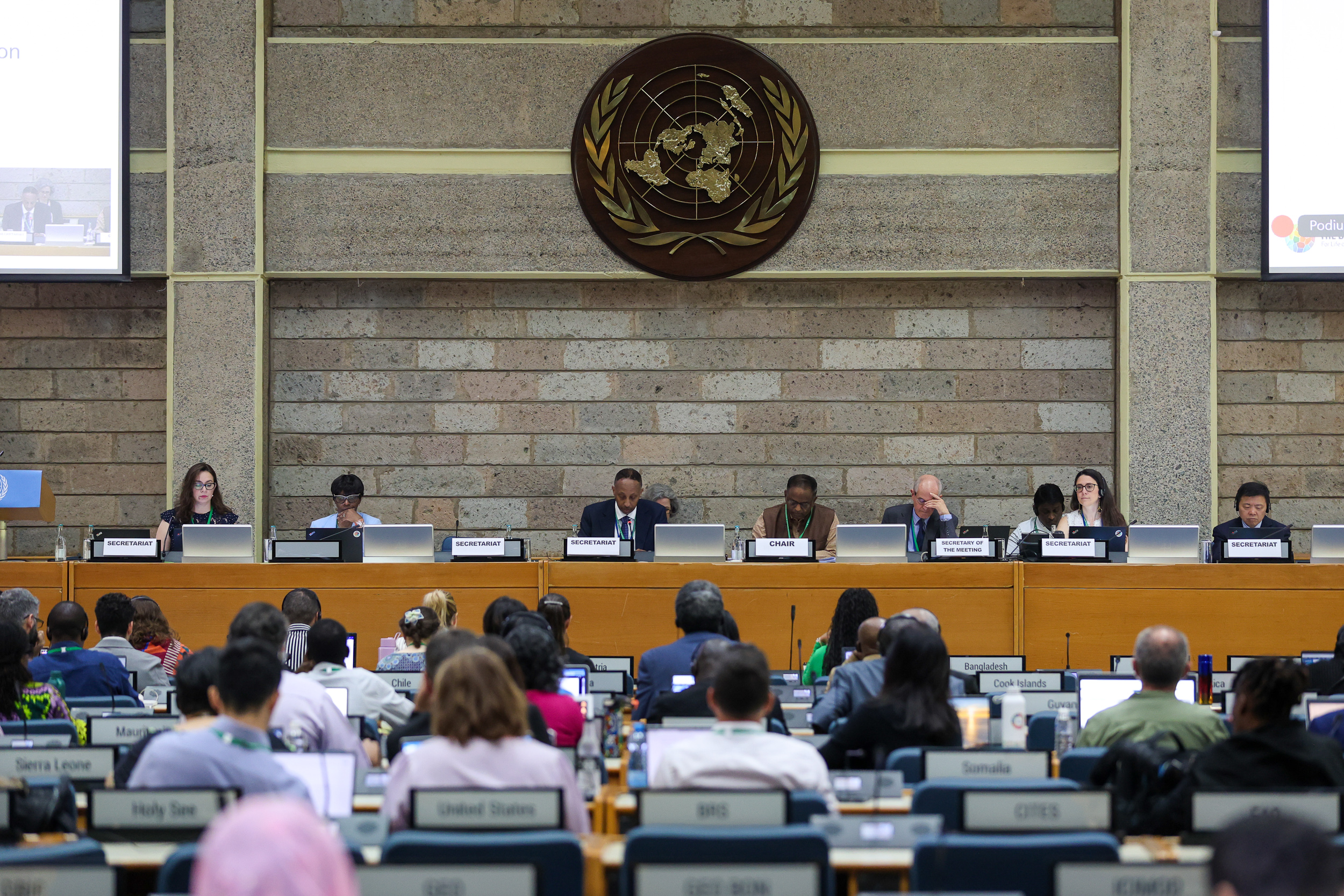 View of the dais during the morning plenary