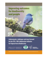 Thumbnail of the cover of the ITTO-CBD policy Brief titled Improving outcomes for biodiversity and people, release on March, 3rd,  2022