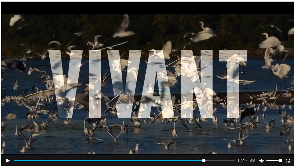 Latest TV Documentary by Jeremy Frey et Yann Arthus-Bertrand