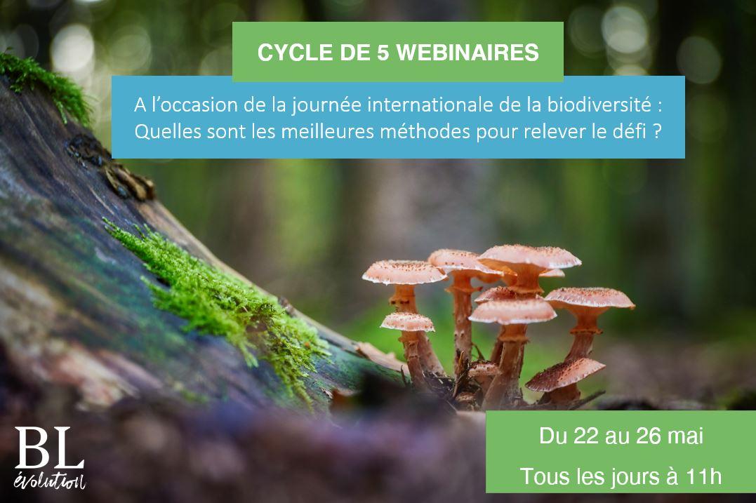 Affiche sur les 5 webinaires pour la journée internationale de la biodiversité