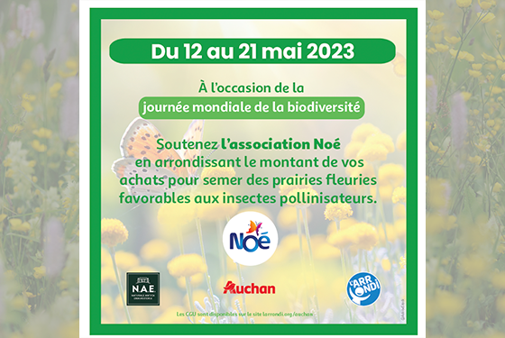 Affiche sur l'Opération d’arrondi en caisse dans les hypermarchés Auchan