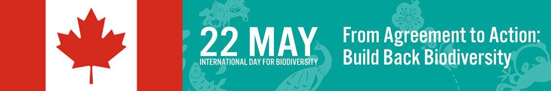 IDB 2023 Celebrations in Canada