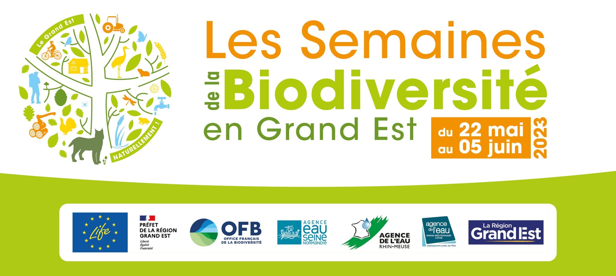 Affiche des semaines de la biodiversité en Grand Est