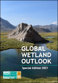 thumbnail of the global wetland outlook 2021 publication