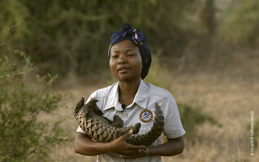 Documentaire inédit Gorongosa, le parc de la réconciliation