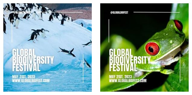 slides from Intsgram account of global biodiversity festival
