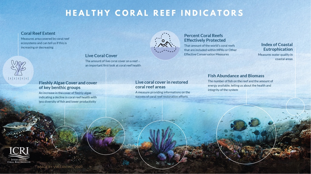 flyer for ICRI's Healthy coral reefs indicators