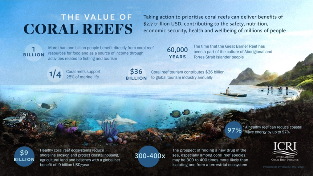 Flyer to illustrate the value of coral reefs globally