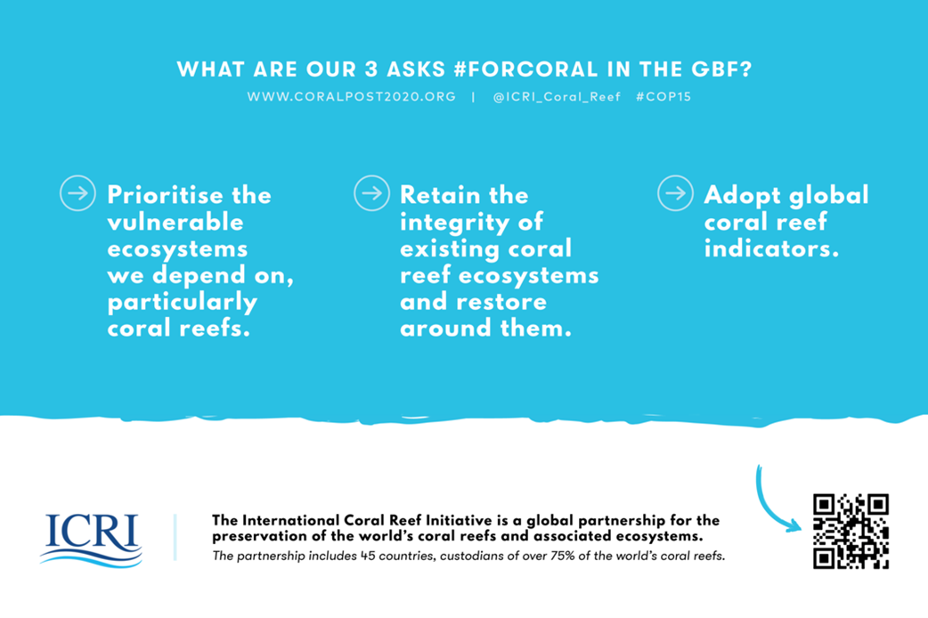flyer for the ICRI's 3 asks #forcoral in the GBF?