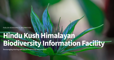 illustration for the Hindu Kush Himalayan Biodiversity Information Facility