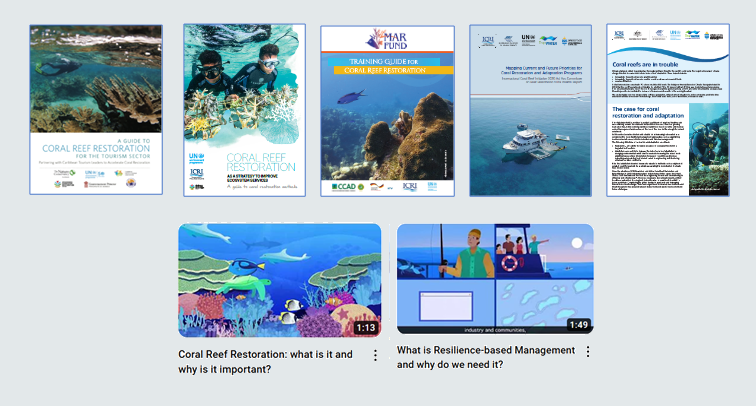 ICRI materials for restoration of coral reefs