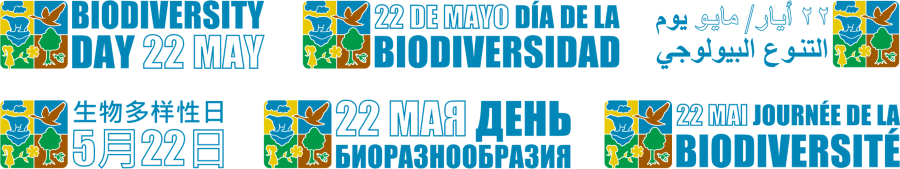 Biodiversity Day logo in 6 UN languages