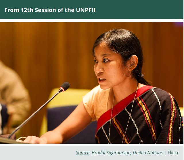 image of a delegate take during the 12th session of the UNPFII