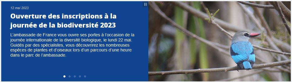 L’ambassade de France vous ouvre ses portes pour la journée de la biodiversité !