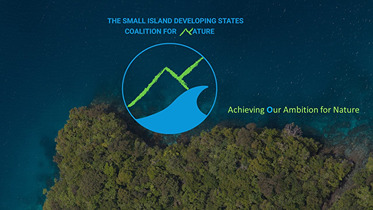 logo SIDS Coalition for Nature