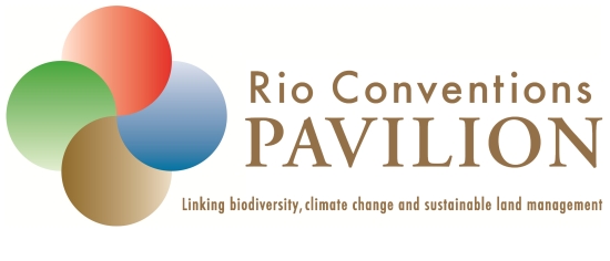 Rio Convention Logo