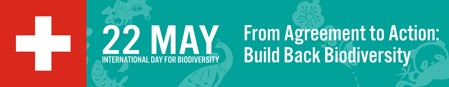 IDB 2023 in Switzerland