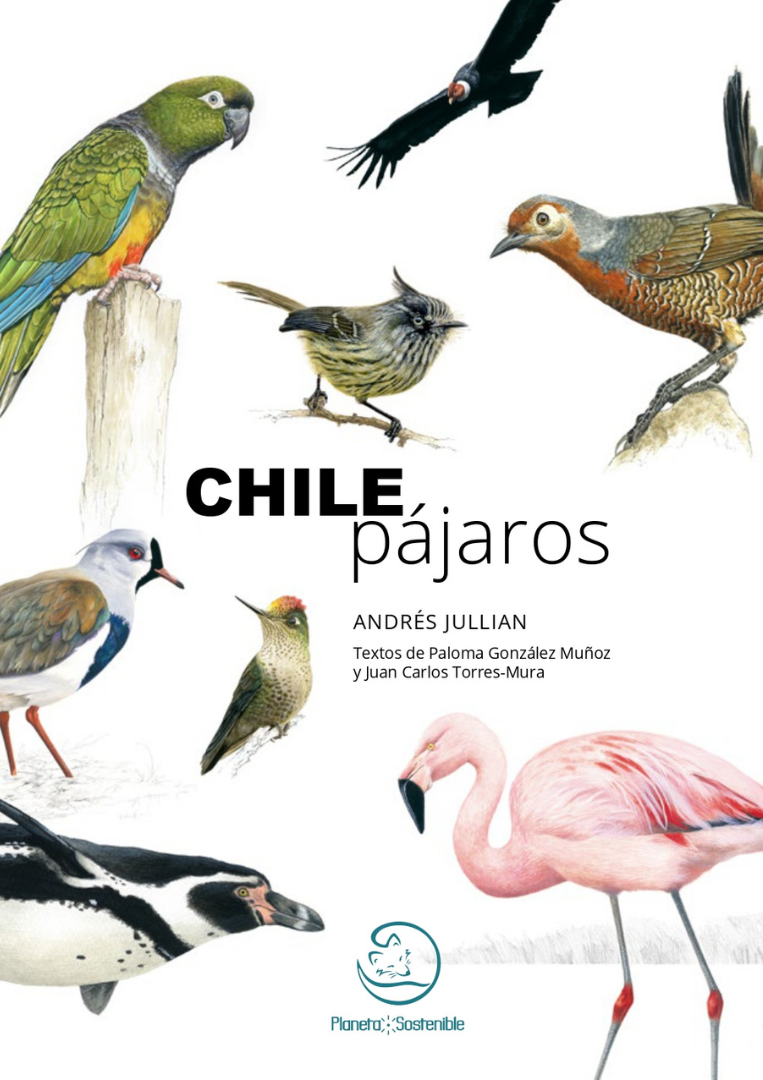 book cover chie pájaros