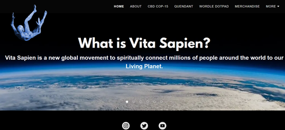 Visit the Vita Sapein Website