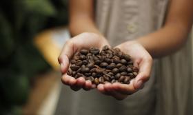 Coffee Beans Aroma 