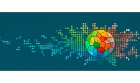 The Global Report