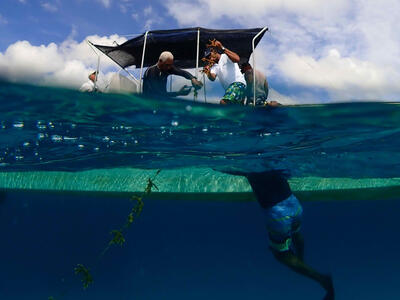 Corales de Paz team members installing horizontal rope nurseries for coral propagation. / Photo: Corales de Paz