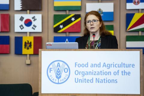 OWEG 2 Day 2 Lunch Session 3 