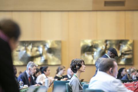 OWEG 2 Day 5 information Session 2 