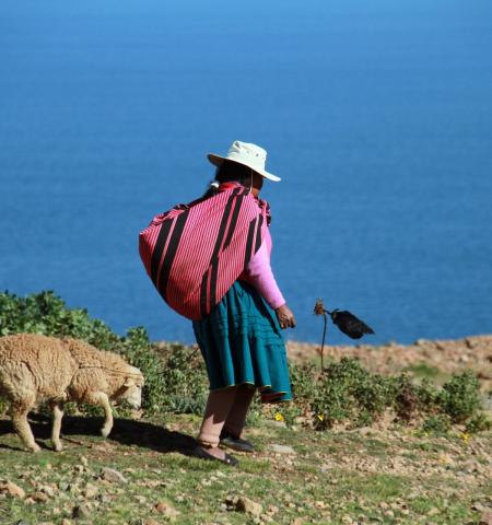 Traditional knowledge is important to the development of new medicines