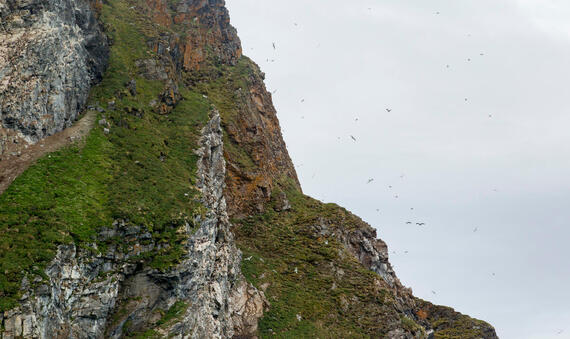 High Norwegian Arctic