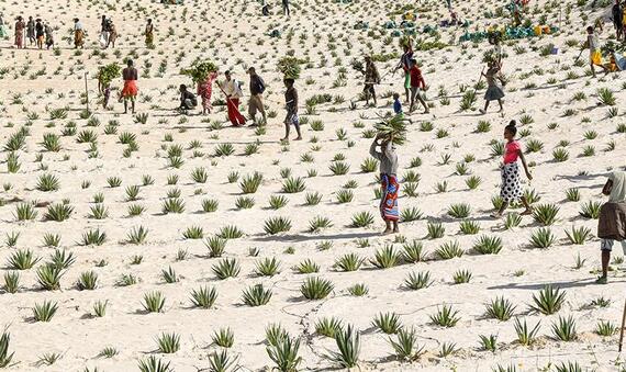 Desertification and Drought Day 2021