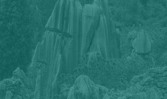 cop15-background-stones