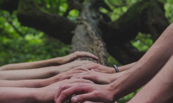 Hands on a tree