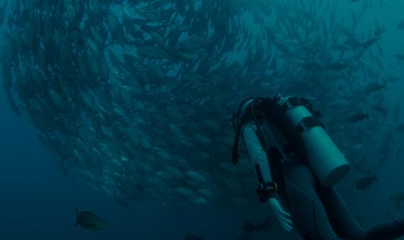 Scientific webinar 25 Jan