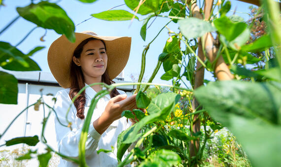 Shutterstock-1705432732