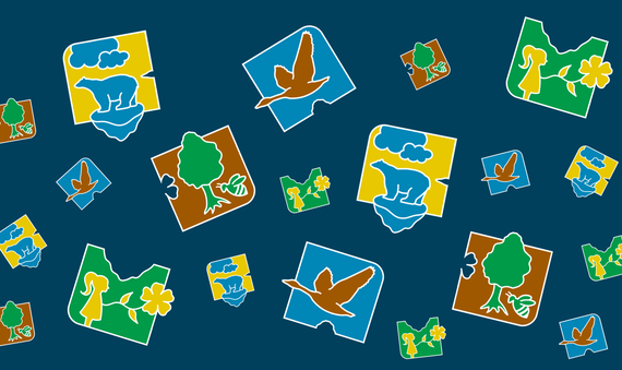 biodiversityday2022-graphic