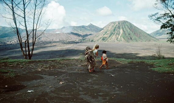 Woman carrying firewood home in Java, Indonesia