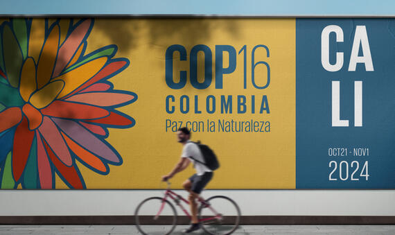 COP 16 Logo Cali 1
