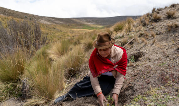 World Environment Day 2024 2