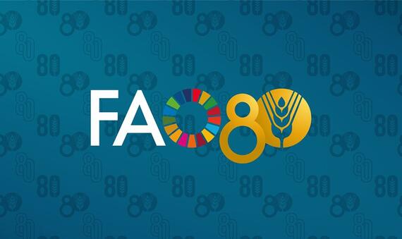 fao80-twitter_cover.jpg
