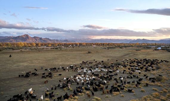 Rangelands